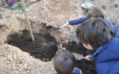 PLANTACIÓN DE NUESTRO OLMO