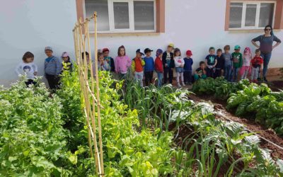 VISITA A LA GRANJA ESCUELA DE SAN BLAS