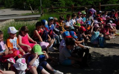 Excursión de E. Infantil a  Fuentecerrada