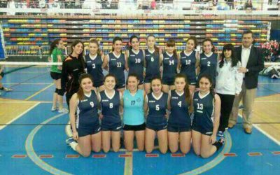 Noticias de voleibol